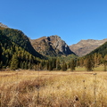 IMG_5493.jpg