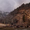 IMG_3858.jpg
