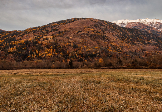 Herbstflair, Klimawandel am Görtschacher Berg