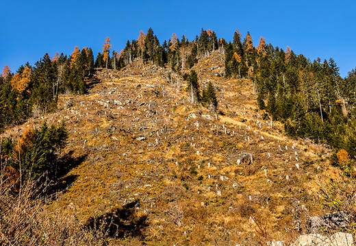 Herbstliche Stille in Lienz, Klimawandel