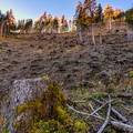 IMG_6501.jpg