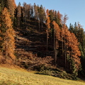IMG_6564.jpg