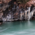 IMG_2175.jpg