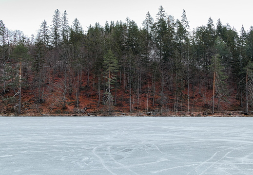 Vereister Tristacher See der Kontraste