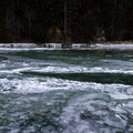 IMG_2906.jpg