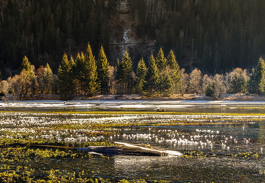 Winterzauber am Gößnitzsee, Kärnten
