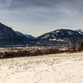 IMG_2927.jpg