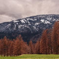 IMG_3885.jpg