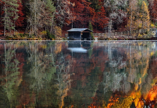 Herbstglanz am Tristacher See