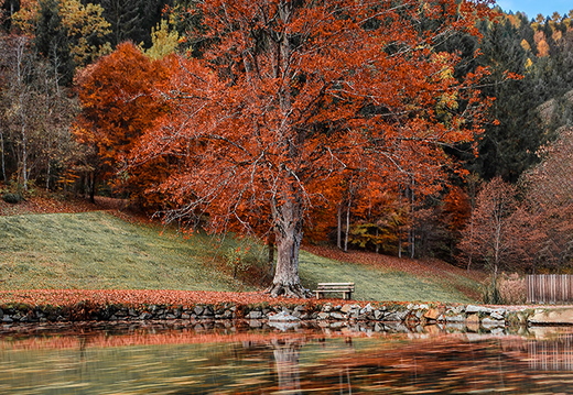 Herbstzauber am Schlossteich