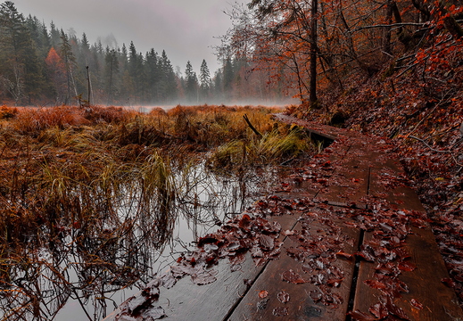 Nebelzauber am Tristacher See