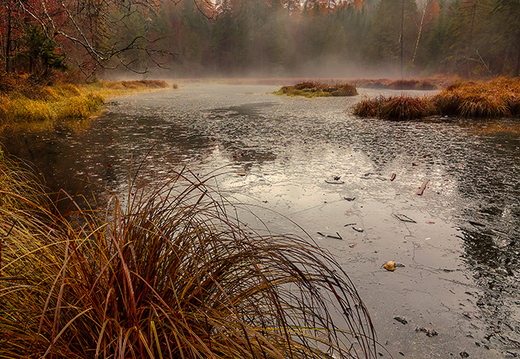 Herbstnebel beim alten Tristacher See