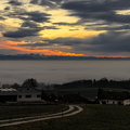 IMG_7400.jpg