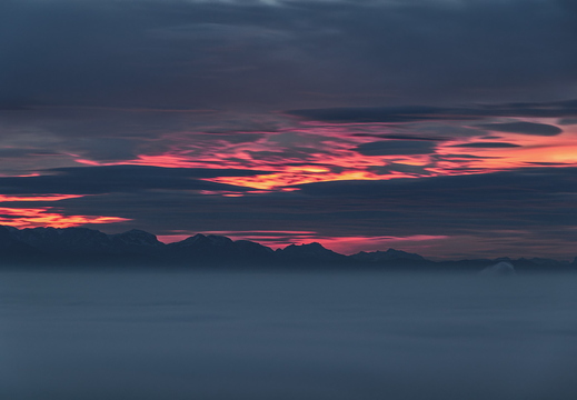 Alpenglühen über Nebelmeer
