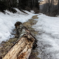 IMG_7522.jpg