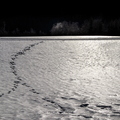 IMG_7694.jpg