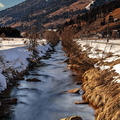 IMG_7726.jpg