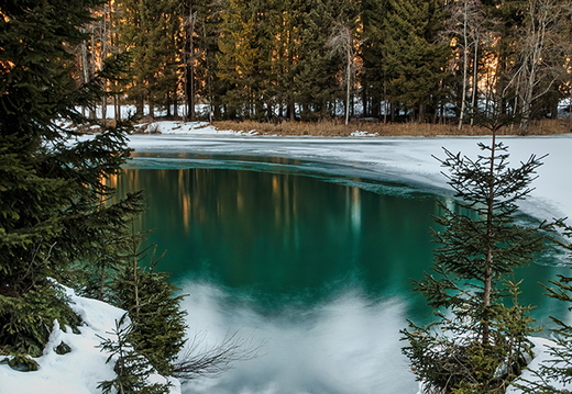 Spiegelung im winterlichen Speichersee