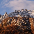 IMG_8811.jpg