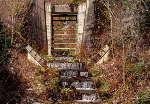 Hochwasserschutzanlage im Bergwald