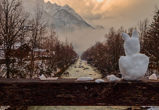 Schneehase Wacht am Fluss