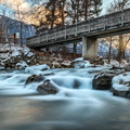 IMG_7499.jpg